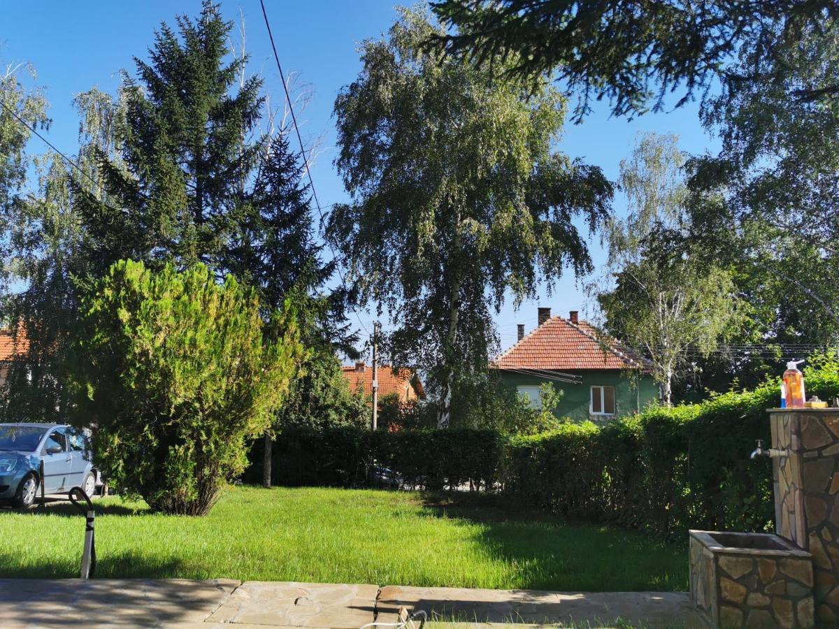 Vila Breza Сокобаня Екстер'єр фото