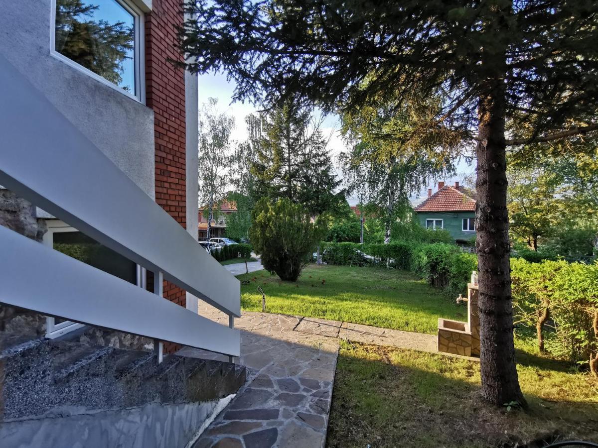 Vila Breza Сокобаня Екстер'єр фото