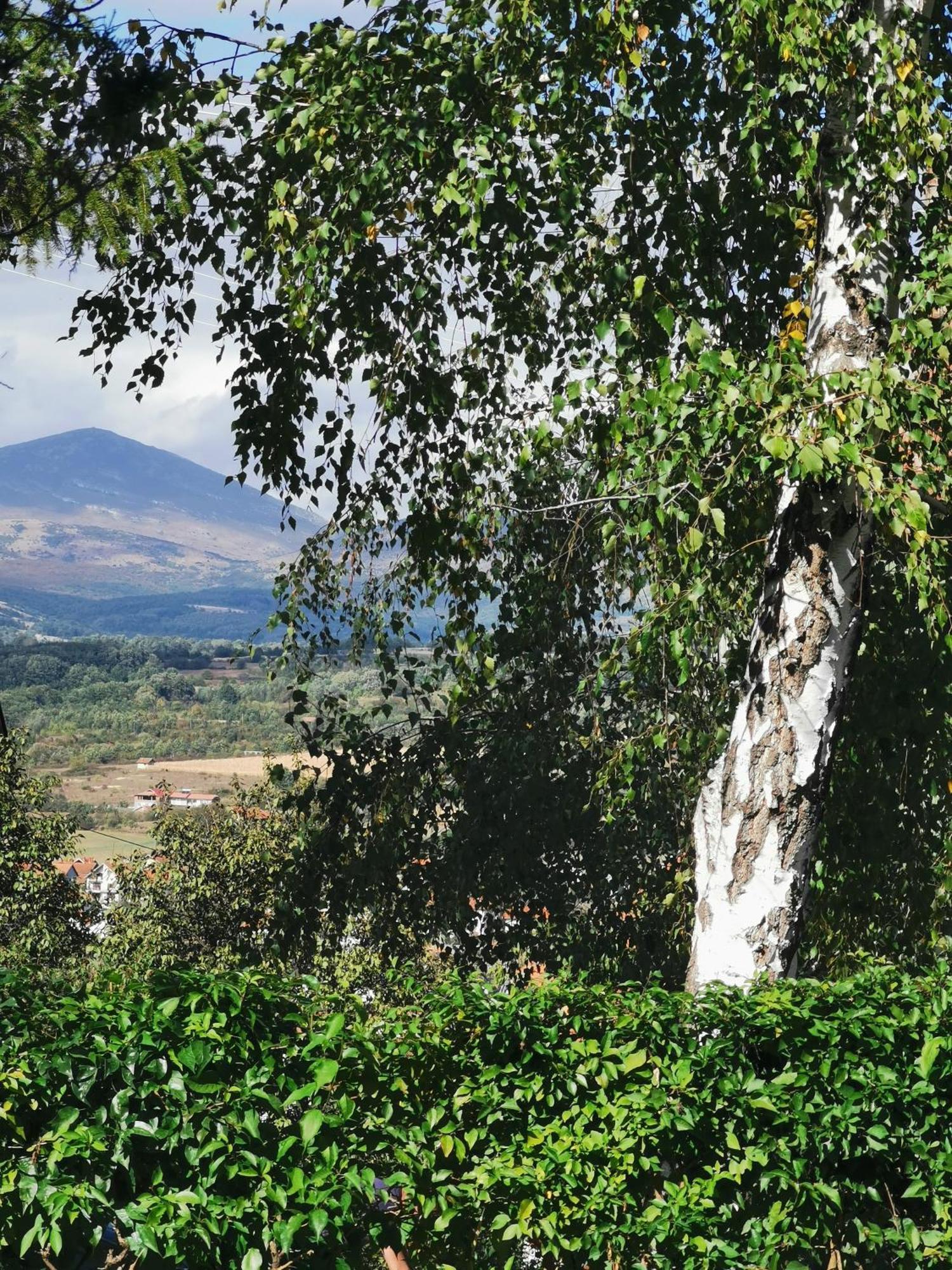 Vila Breza Сокобаня Номер фото